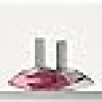 Calvin Klein Euphoria Perfume for Women Eau De Parfum 50ML