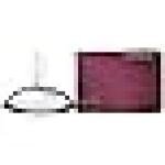 Calvin Klein Euphoria Perfume for Women Eau De Parfum 50ML