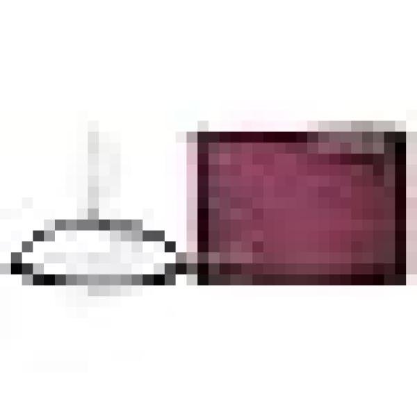 Calvin Klein Euphoria Perfume for Women Eau De Parfum 50ML