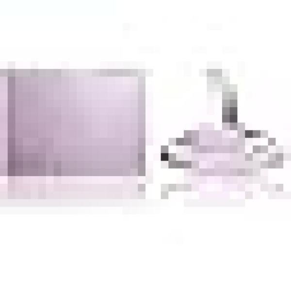 Calvin Klein Euphoria Perfume for Women Eau De Parfum 50ML