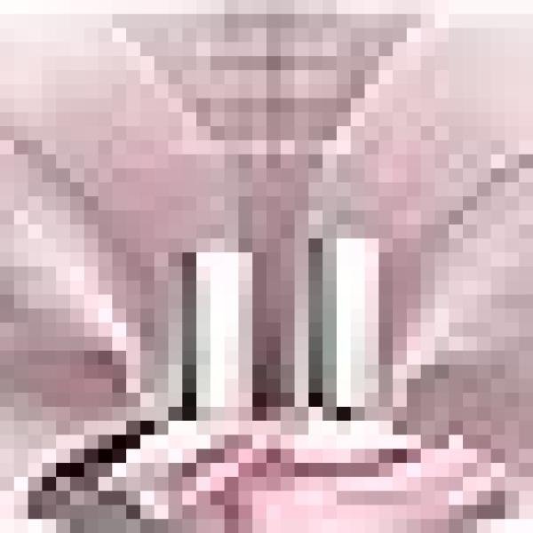 Calvin Klein Euphoria Perfume for Women Eau De Parfum 50ML